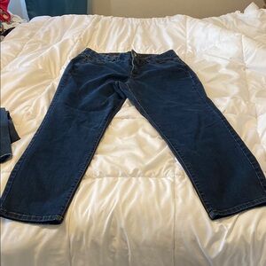 Lane Bryant Blue Straight Leg Jeans